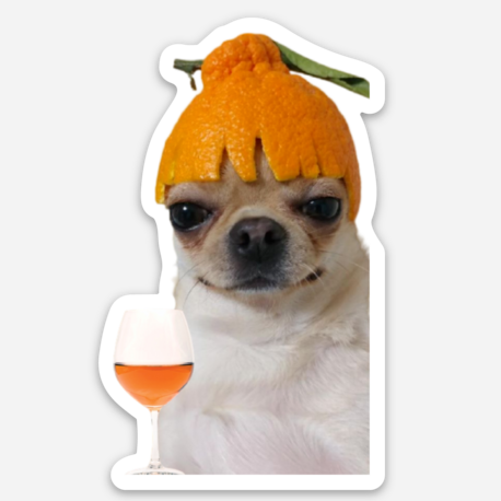 Sticker with photocollage of wine glass filled with orange wine and chihuahua wearing an orange rind as a hat.