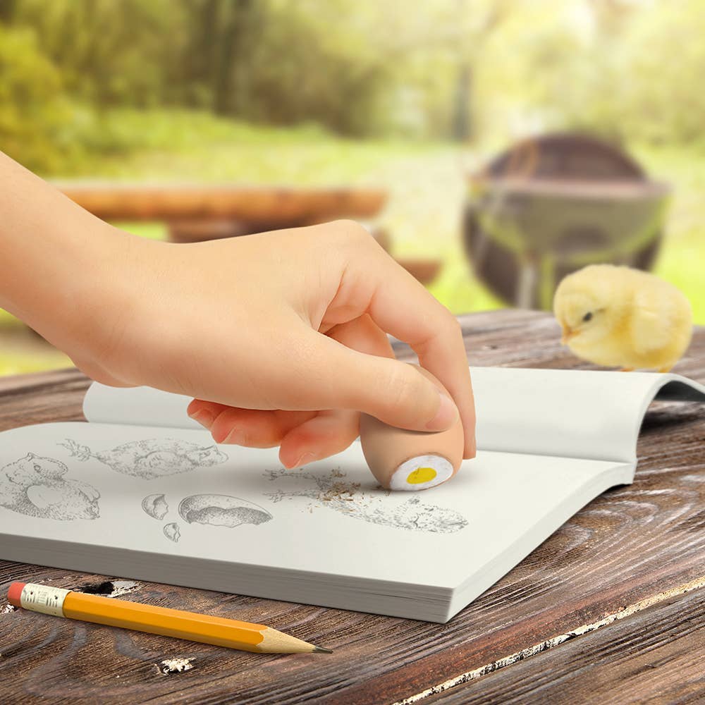 Egg eraser being used on pencil drawing, can see up to the egg yolk