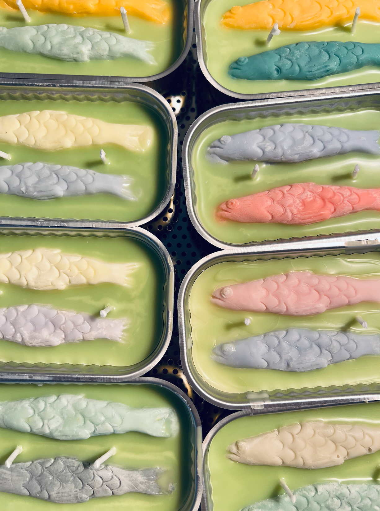 Opened tinned fish candles