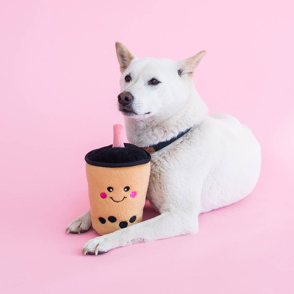 Dog with a plush toy shaped like a bubble tea cup on a pink background