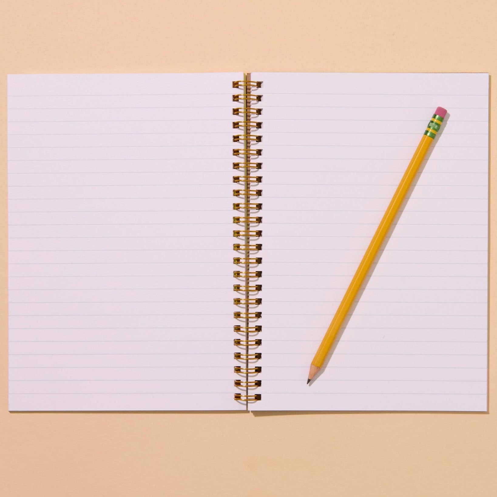 image showing a pencil on top of the lined pages of the pickle notebook