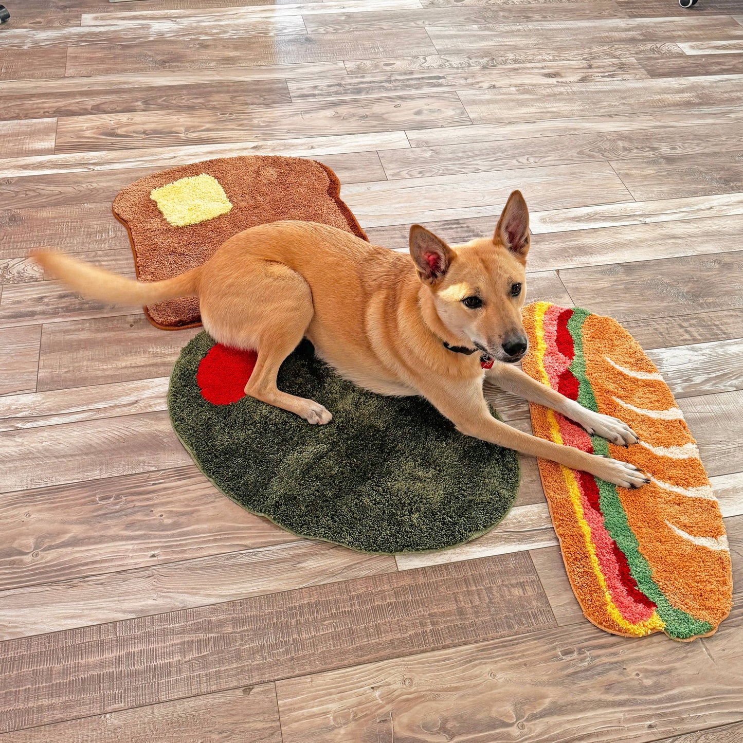 toast, olive and sub sandwich rugs on floor with dog laying on all 3