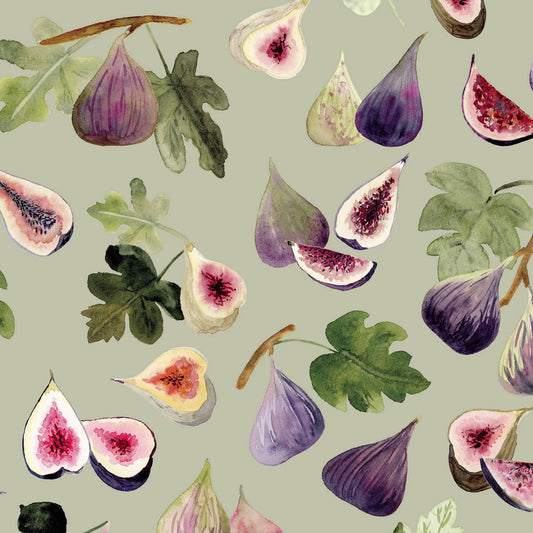 Figs wrapping paper
