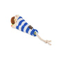 Falafull of Fun Dog Toy