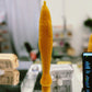 Single yellow beeswax taper candle shaped like a fish. Shown unwrapped on countertop.