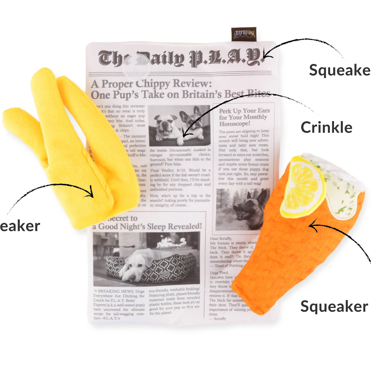 Dog toy with features labeled on a newspaper background