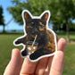 Sticker of a cat holding a drink with a straw, held in a hand outdoors.