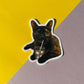 Sticker of a cat holding a drink with a straw on a yellow and pink background