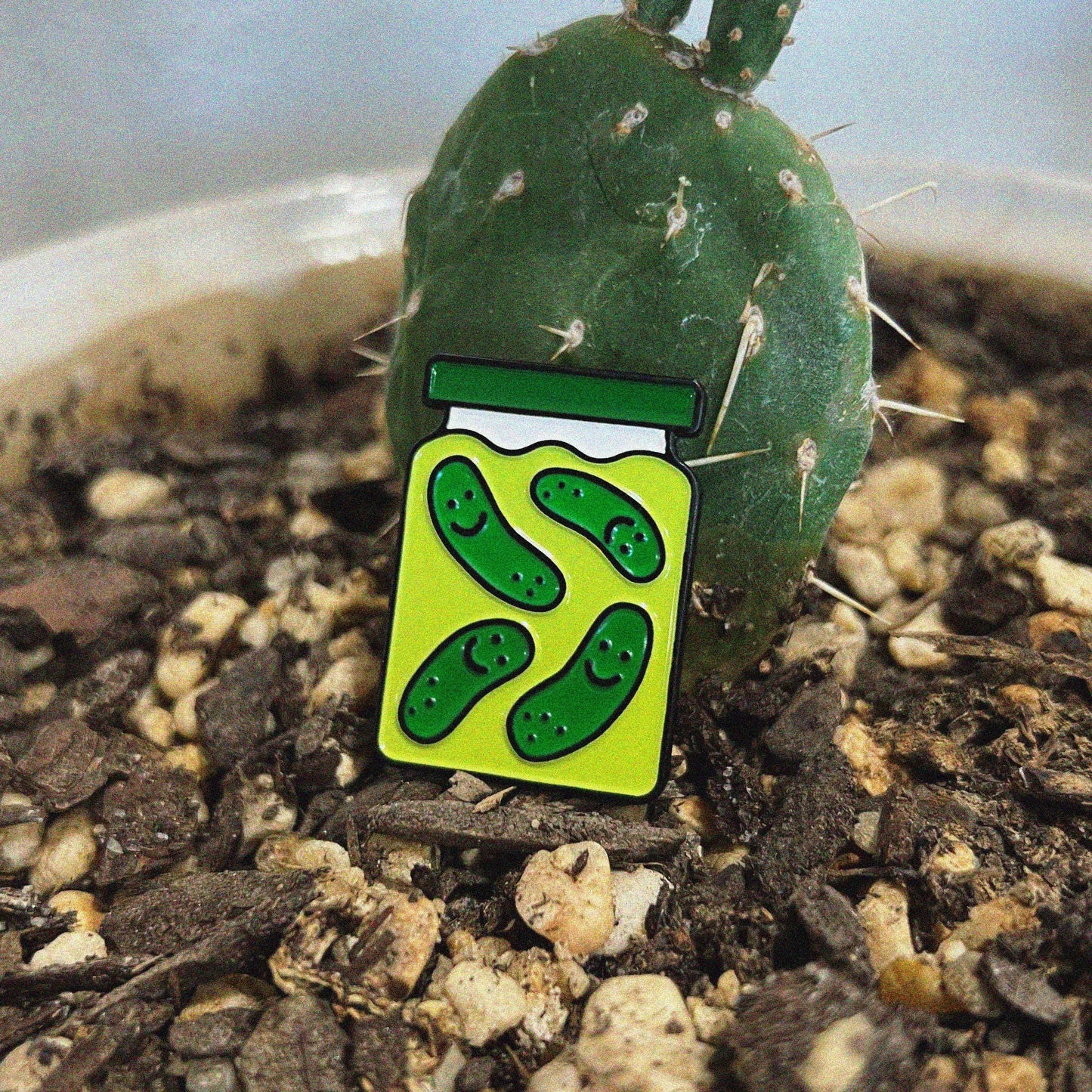 Enamel pin shaped like a pickle jar with a green lid and four smiling dill pickles floating in brine. Shown next to a cactus for color comparison.