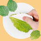 Premium Pork Belly K-BBQ Sticky Memo & Eraser Set