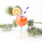 Aperitif in a stemmed glass with a straw and orange slice, surrounded by pine branches on a white background