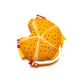 bacon egg cheese roll teether on a white background