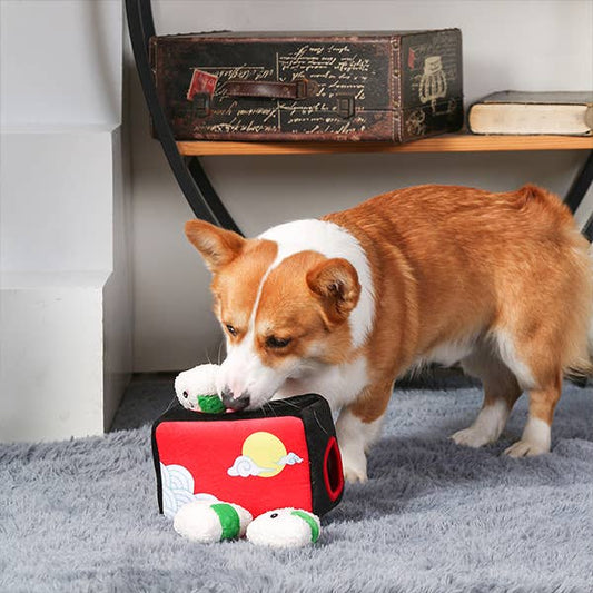 Dog playing with a plush toy bento box on a gray carpet