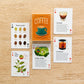 coffee themed deck of cards with various coffee topics on each card 
