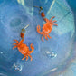 acrylic crab earrings 