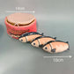 measurements of the fish can catnip toy 