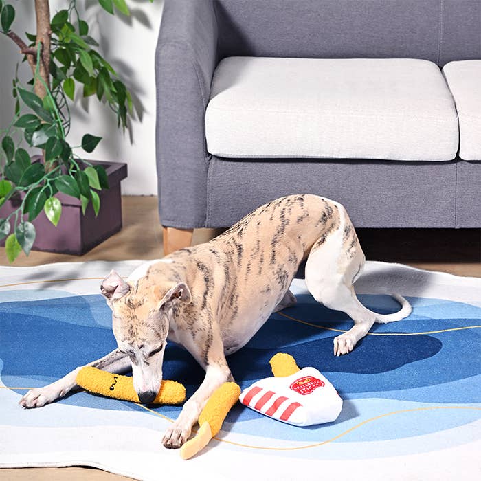 Dog playing with a toy on a rug in a living room