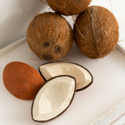 coconut baby teether/toy pictured with real brown coconuts