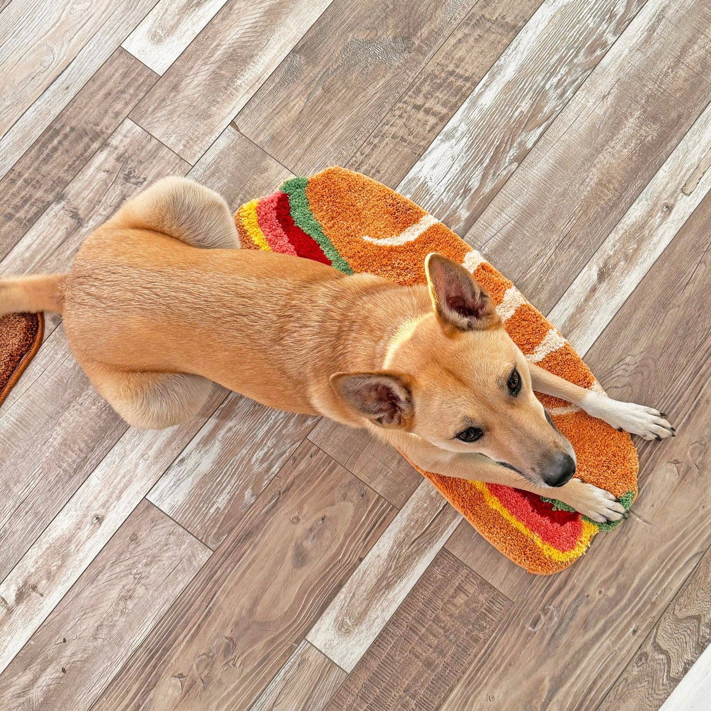 sub sandwich shaped rug on floor with small/medium dog laying on top of it for size comparison 