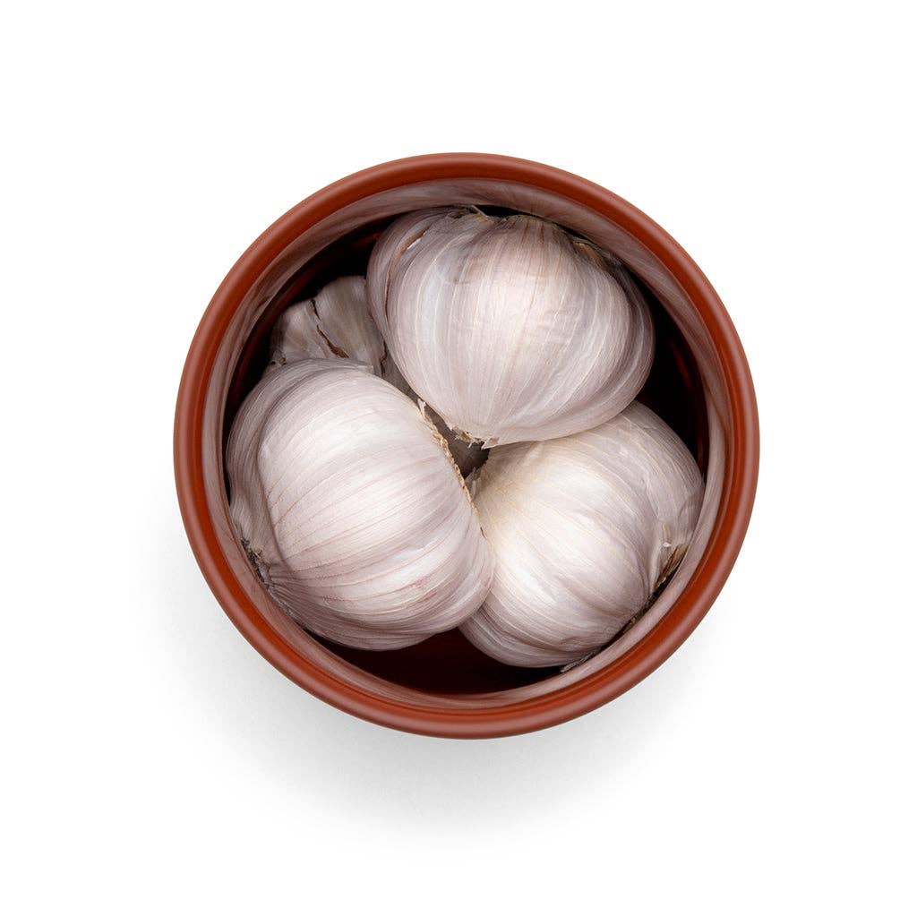 Three garlic bulbs in a terracotta pot on a white background