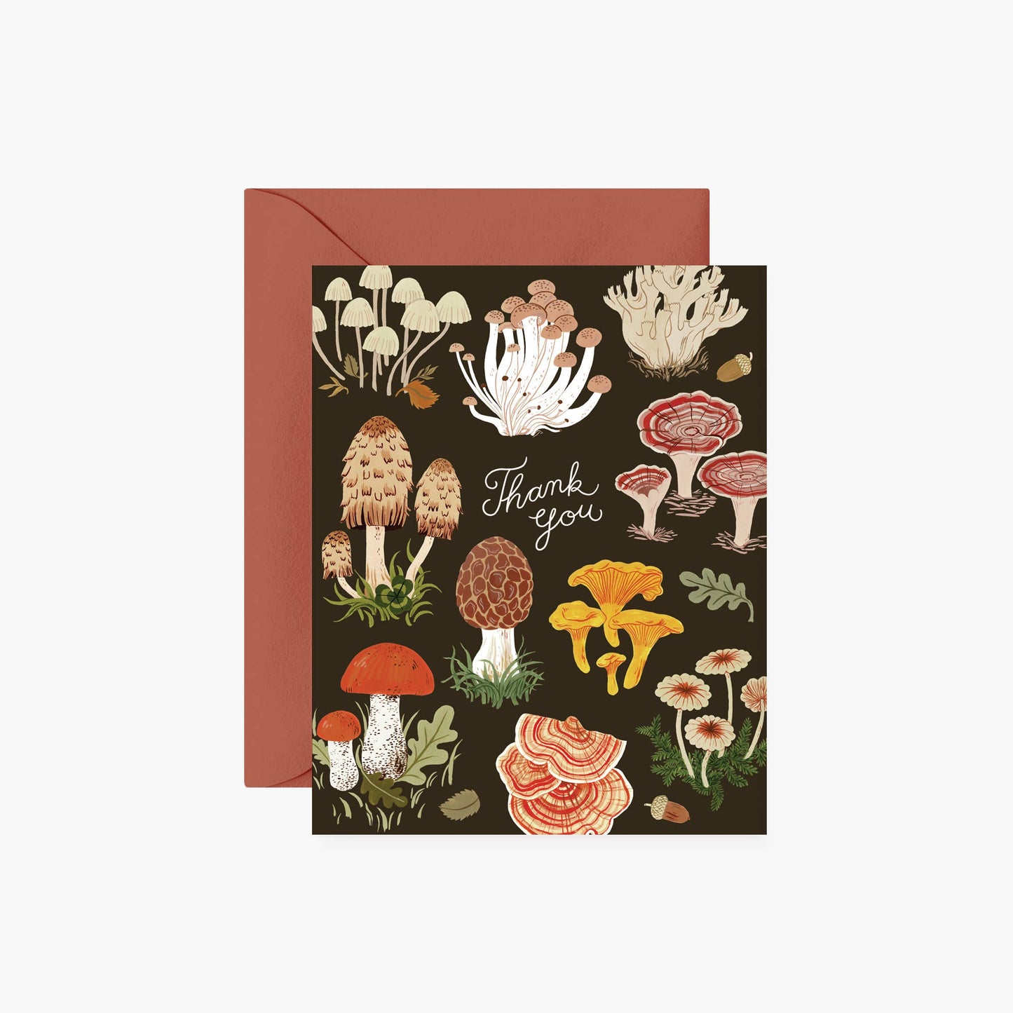 Thank you greeting card -- black background with various types of mushrooms 
