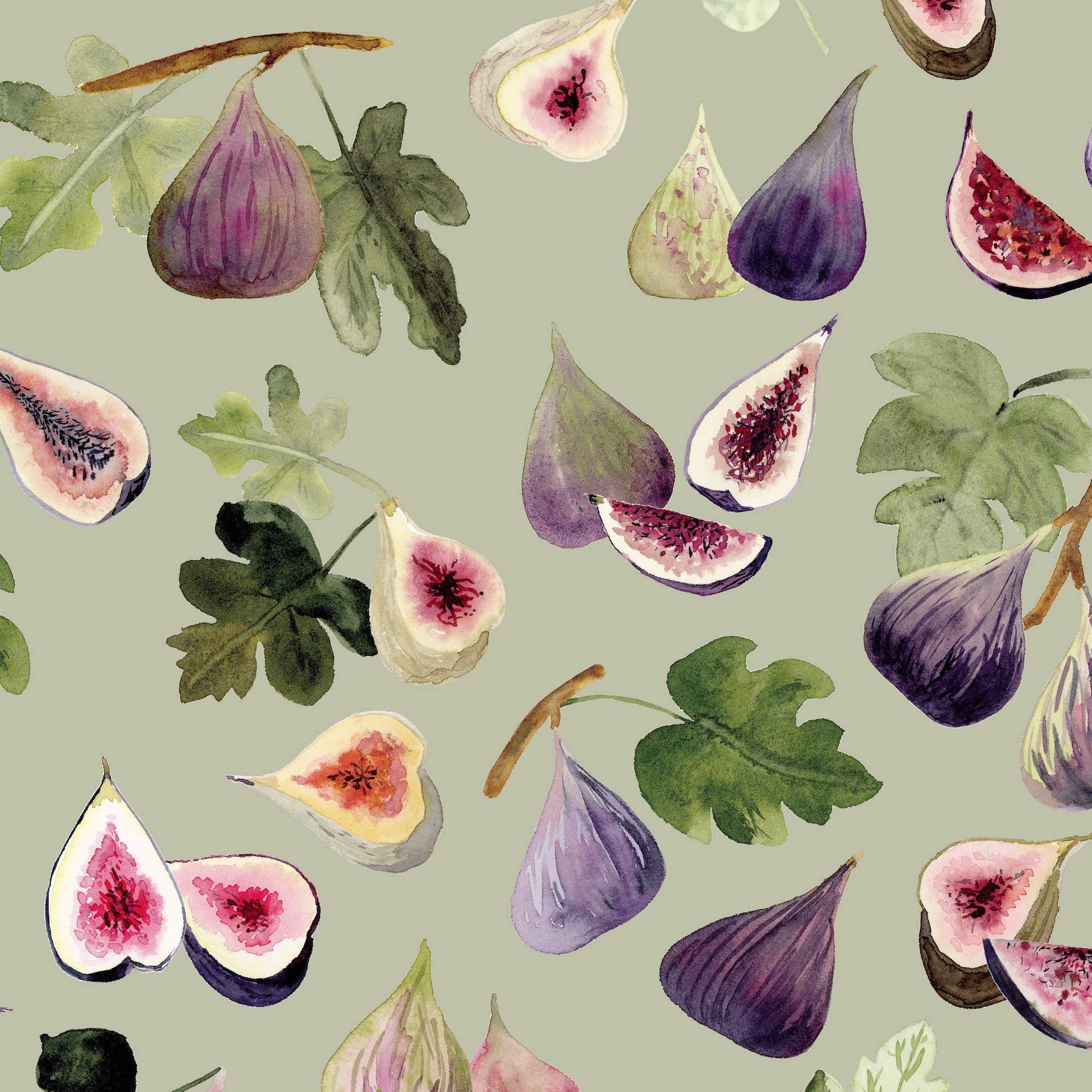 Figs wrapping paper 