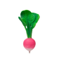 Photo of a baby toy shaped like a single red radish with four green leaves sprouting out the top.