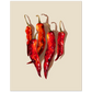 Chili pepper art print 