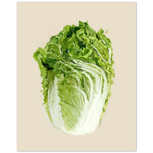 Napa Cabbage art print 