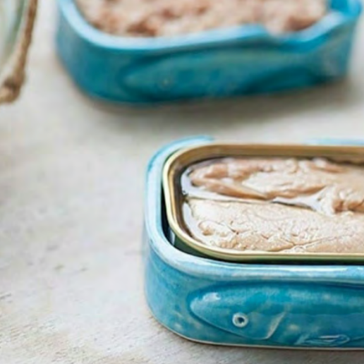 Sardine ceramic dishes with sardine tins inside 